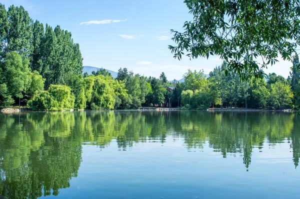 Yansıma yeşil park göl