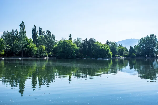 Yansıma yeşil park göl