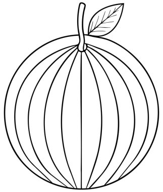 Santol meyvesinin renklendirme, yaratıcı ve tasarım kullanımı için ideal olan asgari tropikal sanat eserlerine sahip basit ana hatlı çizimi