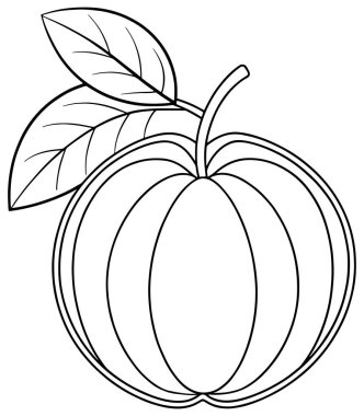 Ambarella meyvesinin basit taslağı ve boyama kitapları ve tropikal tasarım projeleri için ideal asgari çizgi çizimi