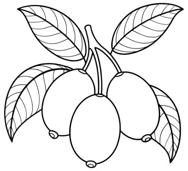 Olgun yeşil yapraklı bitkisel çizgiler organik sanat eserleri için mükemmeldir. Doğal gıda çizimleri ve zarif botanik tasarım projeleri.