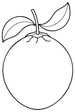 İki yapraklı ve sapı zarif botanik çizimleri doğal tasarım projeleri için mükemmel.