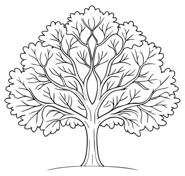 Yapraklı yaprak döken ağaç ana hatları minimalist botanik sanat, eğitim doğası ve ekolojik tasarım için idealdir..