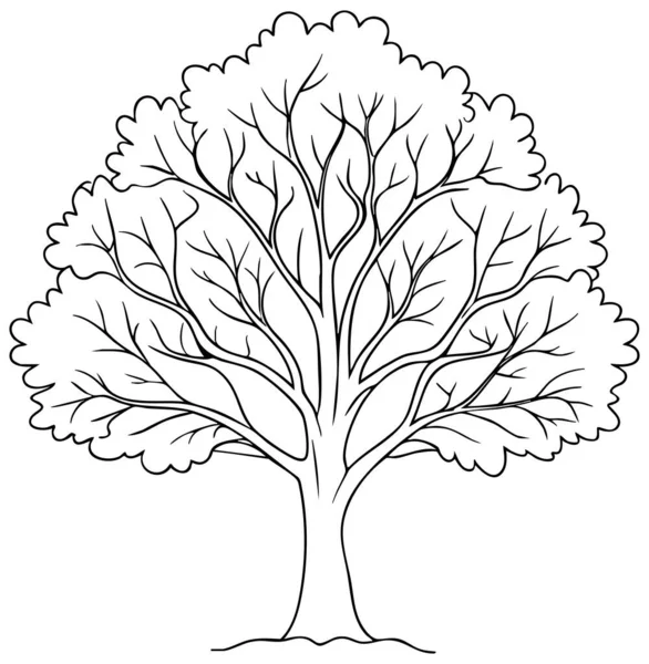 Botanik eğitimi, minimalist tasarım ve renklendirme sayfası kavramları için yaprak döken ağaç ana hatları çizimi ideal.