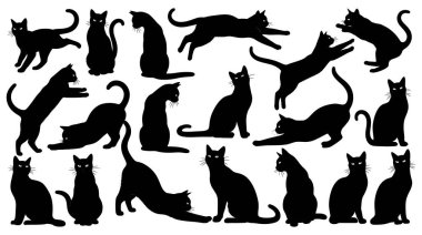 Her biri farklı bir pozu ya da hareketi tasvir eden bir siyah kedi silueti koleksiyonu, katı beyaz bir arka plana karşı sergilenir. Kediler oturma, ayakta durma, esneme, zıplama ve çömelme gibi çeşitli pozisyonlarda gösterilir.