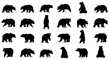 Bu resim siyah ayı siluetlerinin bir ızgara desenini gösterir. Her siluet bir ayıyı farklı bir pozisyonda temsil ediyor, dört ayak üzerinde yürümek, arka ayakları üzerinde dik durmak ve oturmak dahil. Katı siyah kurgu arasındaki yüksek karşıtlık