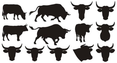 Bu resim, boğaların ve sığırların farklı yönlerini gösteren siyah siluetler sergiliyor. Koleksiyonda, ayakta durmak, otlamak ve dinamik bir şarj duruşu gibi çeşitli poziyonlarda hayvanların tüm vücut tasvirleri yer alıyor. Ek olarak, s
