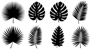 Bu resim, temiz beyaz arka planda siyah olarak sunulan sekiz farklı tropikal yaprak siluetini gösteriyor. Koleksiyonda fan palmiye yaprakları, iğne yaprakları ve ayırt edici yapraklar da dahil olmak üzere çeşitli tropikal yapraklar yer alıyor.