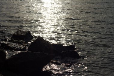 doğa, yaz, sakin ol