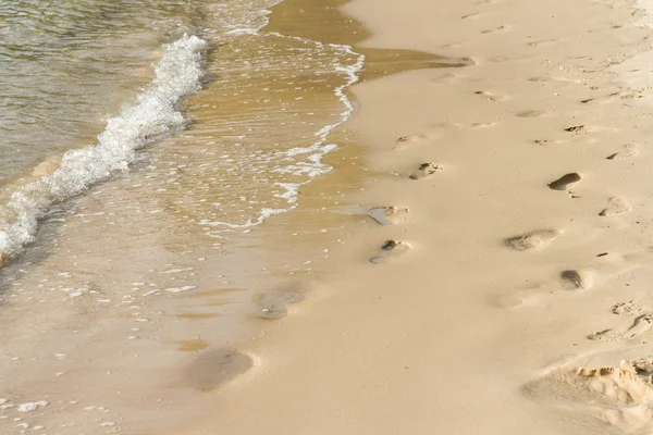 Natureza, verão, relaxar — Fotografia de Stock