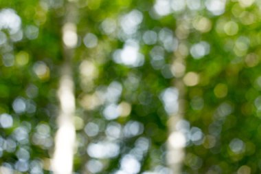 bulanıklık, uygunluğunu,