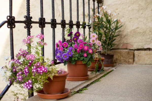 Belle Vieille Rue Décorée Fleurs — Photo