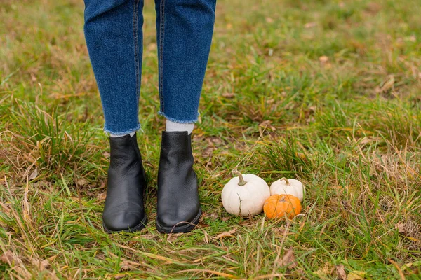 Gambe Femminili Stivali Erba Autunno Con Zucche Arancioni Bianche Copia — Foto Stock