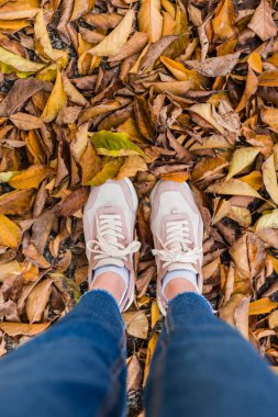 Sonbahar yeşilliklerinde bir kızın bacakları. Pozitif metin, tırnak içinde veya ifade için boş yer.