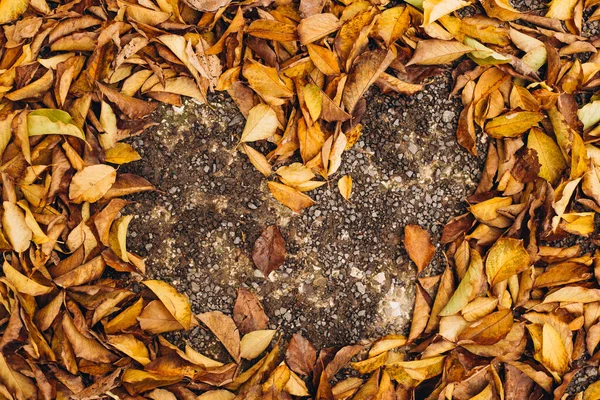 A collection of fallen leaves that form a heart