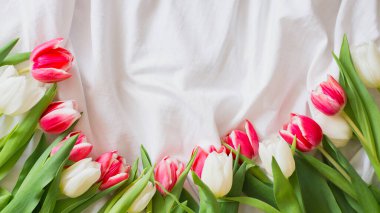 Pembe ve beyaz laleler beyaz kumaş arkaplanda izole edilmiş ve fotokopi alanı var. Düz yerde, üst tarafta. Minimum çiçek modeli konsepti. Sevgililer Günü, Paskalya, Doğum günü, Mutlu Kadınlar Günü konsepti