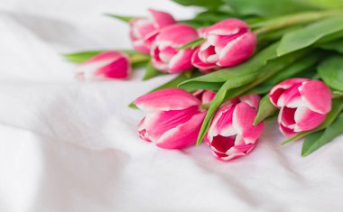 Pembe laleler beyaz kumaş arkaplanda izole edilmiş ve fotokopi alanı var. Düz yerde, üst tarafta. Minimum çiçek modeli konsepti. Sevgililer Günü, Paskalya, Doğum günü, Mutlu Kadınlar Günü kartpostalı