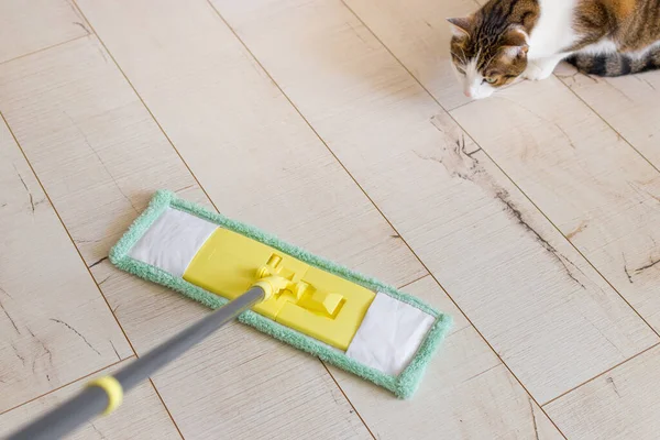 Mikrofiber sarı paspas beyaz ahşap zemin zemininde izole edilmiş, yakın plan, kapalı alan. Yeşil gözlü tatlı kedi evde yerde yatıyor.