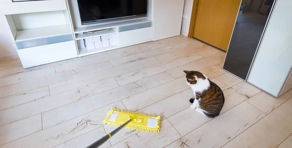 Balai jaune microfibre isolé sur fond de plancher en bois blanc, gros plan, intérieur. Le chat joue drôle avec une serpillière. — Photo