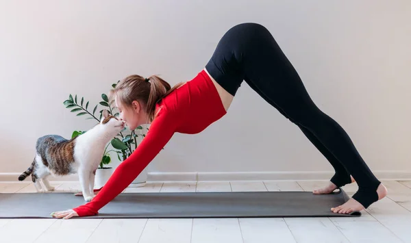 Girl in red sportswear with cute funny cat practicing yoga at home. Indoor and outdoor workout. Sport and healthy active lifestyle concept — Stock Photo, Image