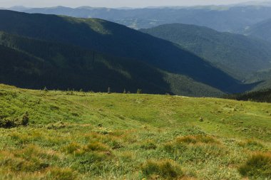 Karpatya dağlarındaki güzel manzaranın panoramik manzarası. Turizm ya da Özgürlük konsepti. Vahşi doğa, yaz manzarası. Toprağın güzelliğini keşfedin.
