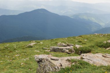 Karpatya dağlarındaki güzel manzaranın panoramik manzarası. Turizm ya da Özgürlük konsepti. Vahşi doğa, yaz manzarası. Toprağın güzelliğini keşfedin.