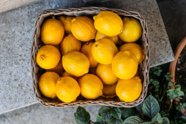 İtalyan caddesinde olgunlaşmış sarı limonlarla dolu bir sepet. Limon suyu, meyve ve narenciye reklamı. Vejetaryen yemeği. Üst görünüm