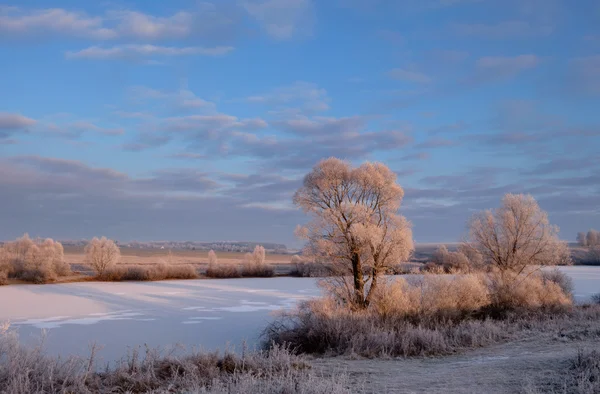 Wintermorgen auf dem See — Stockfoto