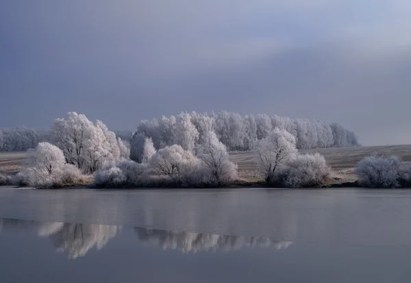 Orilla de invierno del lago — Foto de Stock