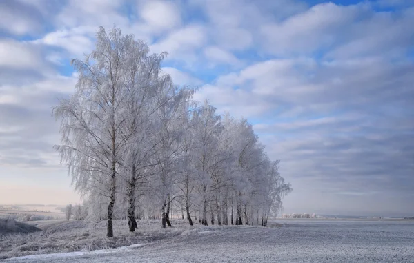 雪地的冬季风景 — 图库照片