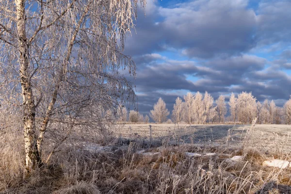雪地的冬季风景 — 图库照片