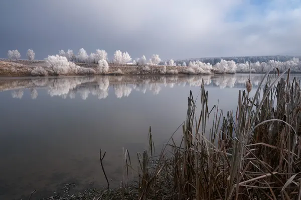 The shore of winter lake — Stock Photo, Image