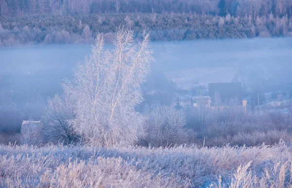 Wunderschöne Winterlandschaft Mit Blick Auf Schneebedeckte Bäume Nebel Weißer Reif — Stockfoto