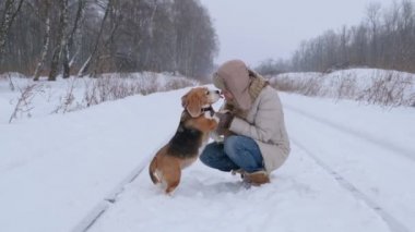 Genç bir kadın kış parkında av köpeğiyle yürüyüşe çıktı. Beagle kışın karda oynuyor. yavaş çekim
