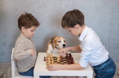 İki çocuk bir masada satranç oynar. Bir av köpeği oyunu komik bir şekilde izliyor. Aile çemberindeki masa oyunları.