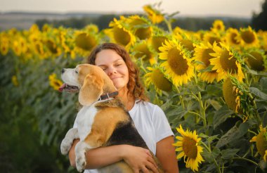 Genç bir kadın ve bir av köpeği çiçek açan ayçiçekleriyle güzel bir tarlada