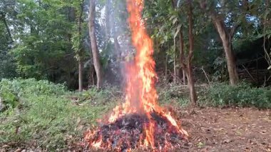 Arazi Temizleme ve Bakım Faaliyeti Arazi Bahçesinde Kuru Çim Yanan Kırsal İnsanlar