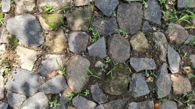 Outdoor Cobblestone Texture Mixed with Soil for Landscape Architecture Design