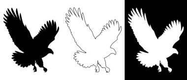 Sert siyah siluet, minimalist taslak ve siyah üzerine ters beyaz siluet de dahil olmak üzere çeşitli grafik stillerinde güçlü bir kartal çizimi