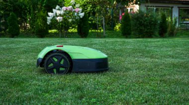 Robotik çim biçme makinesi yeni biçilmiş ve biçilmemiş alanlar arasında açık bir kontrastla sınır teli boyunca çim biçiyor. Akıllı ev teknolojisi, peyzaj, açık hava bakımı ve ev geliştirme.