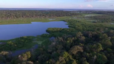 Amazon yağmur ormanlarında göl