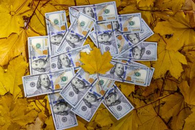 ABD doları ve Euro banknotları, finans, ekonomi, küresel ticaret, yatırım, bankacılık ve uluslararası para birimlerini temsil eden düz yüzey detayları, mezhepler ve dokulara göre düzenlenmiştir.