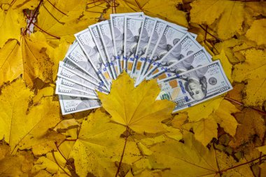ABD doları ve Euro banknotları, finans, ekonomi, küresel ticaret, yatırım, bankacılık ve uluslararası para birimlerini temsil eden düz yüzey detayları, mezhepler ve dokulara göre düzenlenmiştir.