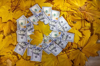 ABD doları ve Euro banknotları, finans, ekonomi, küresel ticaret, yatırım, bankacılık ve uluslararası para birimlerini temsil eden düz yüzey detayları, mezhepler ve dokulara göre düzenlenmiştir.