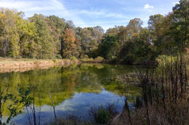Sonbaharda güneşli bir öğleden sonra yaprakları yansıtan Kırsal Göl 'ün fotoğrafı..
