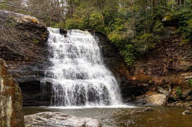 Garret County Maryland 'deki Muddy Creek Şelalesinin fotoğrafı. Kırlangıç Şelalesi Eyalet Parkı' ndaki Peyzaj Eğilimi.