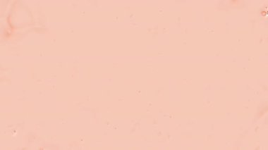 Şeffaf Arkaplan 'a Splash Etki Animasyonu. Hareketli boya damlalarıyla dinamik, pürüzsüz bir sıvı patlama. Örtüler, tanıtımlar, VJ döngüleri, reklamlar ve hareket grafikleri için mükemmel.