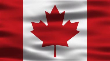 Kanada Bayrak Döngüsü Animasyonu. Pürüzsüz Rüzgar Efektli Gerçekçi Bayrak Hareketi. Kusursuz Döngü, Yüksek Kaliteli Animasyon, Vatanseverlik ve Görüntü İçin Mükemmel. Video Üstüste aktarımları için ideal.