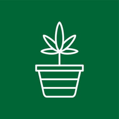 Pineappleweed simgesi, vektör illüstrasyonu basit tasarım