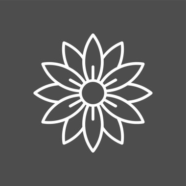 Aster simgesi, vektör illüstrasyonu basit tasarım
